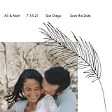 "Palm" - Save the Dates in Night by Elsa Duncan - Detail