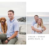 "highlight photo" - Save the Dates in Cotton by Erin Deegan - Detail