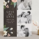 "Love in Bloom" - Save the Dates in Blush by Karidy Walker - Front