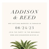 "Party in Paradise" - Save the Dates in Pineapple by Erin Hodges - Detail