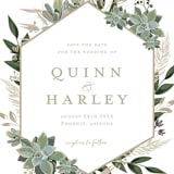 "Succulent Surround" - Save the Dates in Powder by Susan Moyal - Detail