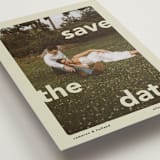 "save.the.date" - Save the Dates in Mint by Lori Wemple - Detail