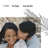 "Palm" - Save the Dates in Night by Elsa Duncan - Detail