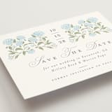 "Hydrangea Hedge" - Save the Dates in Nantucket by Susan Zinader - Detail
