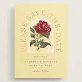 "Enchanted Rose from Disney's Beauty & The Beast" - Save the Dates in Minosa by Leah Bisch - Front