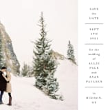 "Hudson" - Save the Dates in Snow by Megan Davis - Detail