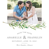 "Simple Sprigs" - Save the Dates in Cloud by Erin Deegan - Detail