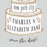 "There Will Be Cake" - Save the Dates in Dove by Megan Tamaccio - Detail