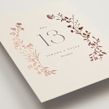 "Queen Anne's Lace" - Table Numbers in Creme Brulee by Jennifer Wick - Detail