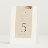 "Modern Serene" - Table Numbers in Blush by Hannah Williams - Folded
