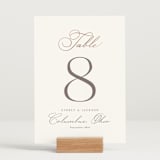 "Eternal" - Table Numbers in Snow by Kaydi Bishop - Displayed (stand not included)