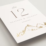 "Colorado" - Table Numbers in Earth by Mansi Verma - Detail