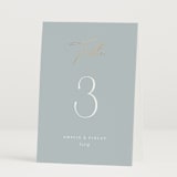 "Delicacy" - Table Numbers in Dusty Blue by Angela Thompson - Folded