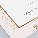 "Solaris" - Table Numbers in Blush by Kristie Kern - Detail