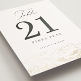 "Peaks" - Table Numbers in Hunter by Sarah Brown - Detail