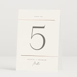 "Simple Lines" - Table Numbers in Snow by Michelle Taylor - Folded