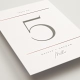 "Simple Lines" - Table Numbers in Snow by Michelle Taylor - Detail