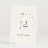"Disney's Cinderella Castle" - Table Numbers in Magic by Kelly Schmidt - Folded