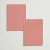 "Birds of Paradise" - Table Numbers in Coral by Julie Hebert - Back of Card Options