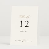 "You & Me" - Table Numbers in Classique by Design Lotus - Folded