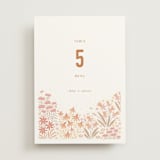 "Floral Border" - Table Numbers in Peach by Pippa Shaw - Front
