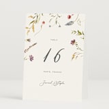 "Untied" - Table Numbers in Sherbert by Erin Hodges - Folded