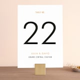 "Minimalist Display" - Table Numbers in Tangerine by Nam Bourassa - Front