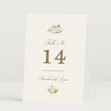 "Avalon" - Table Numbers in Chiffon by Everett Paper Goods - Folded