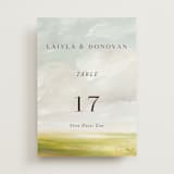 "Savanna" - Table Numbers in Fern by Lindsay Megahed - Front