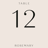 "Convergence" - Table Numbers in Cream by Annie Lowe - Detail