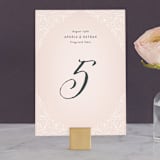 "Elegant Lace" - Table Numbers in Blush by Hooray Creative - Front