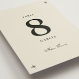 "Milagro" - Table Numbers in Ivory by Ani Somi - Detail