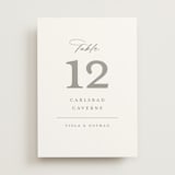 "Overlay" - Table Numbers in Dove by Meggy Masters - Front