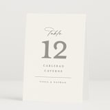 "Overlay" - Table Numbers in Dove by Meggy Masters - Folded