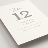 "Overlay" - Table Numbers in Dove by Meggy Masters - Detail