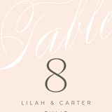 "Classic Lux" - Table Numbers in Blush by Stacey Day - Detail