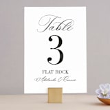 "This and That" - Table Numbers in Diamond by Jessica Corliss - Front