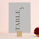 "Show" - Table Numbers in Dove Gray by Up Up Creative - Front