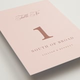 "Charleston" - Table Numbers in Blush by Megan Davis - Detail