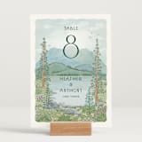 "Sierra" - Table Numbers in Spruce by Paper Sun Studio - Displayed (stand not included)