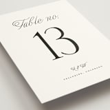 "Terra" - Table Numbers in Snow by Pixel and Hank - Detail