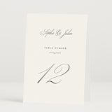 "From This Moment On" - Table Numbers in Classique by Design Lotus - Folded