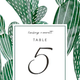 "Painted Cacti" - Table Numbers in Cactus by Olivia Raufman - Detail