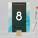 "Ombio" - Table Numbers in Aqua by GeekInk Design - Front