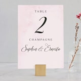 "Garden Party Joy" - Table Numbers in Blush by frances mathys - Front