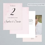 "Garden Party Joy" - Table Numbers in Blush by frances mathys - Back of Card Options