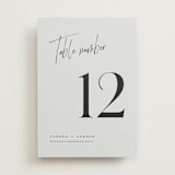 "Signature Script" - Table Numbers in Mint by Michelle Taylor - Front