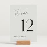 "Signature Script" - Table Numbers in Mint by Michelle Taylor - Displayed (stand not included)