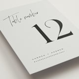 "Signature Script" - Table Numbers in Mint by Michelle Taylor - Detail