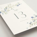 "Sweeping Meadow" - Table Numbers in Aquamarine by Everett Paper Goods - Detail